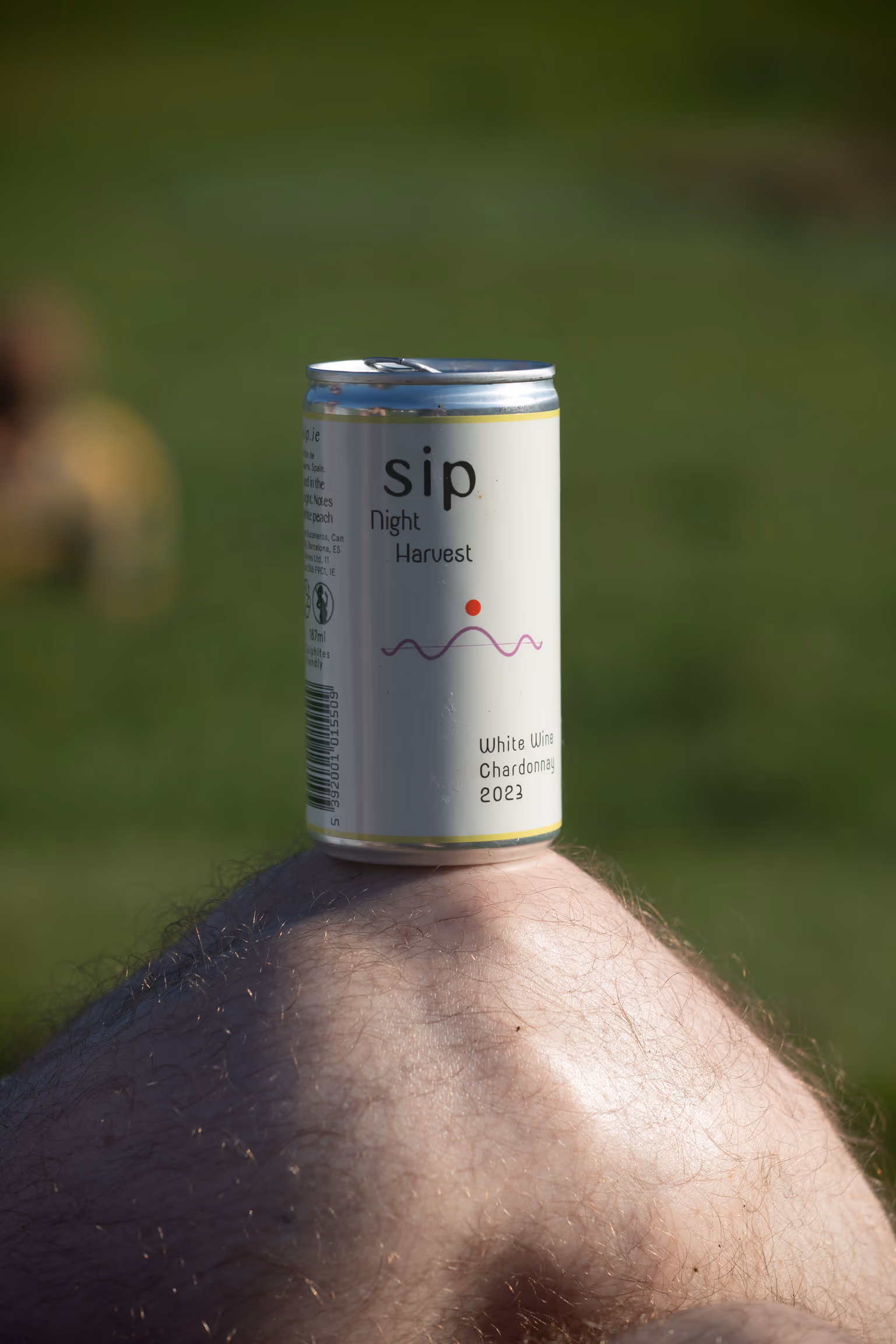 SIP Night Harvest Chardonnay can resting on a knee